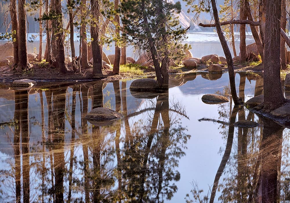Spring Pool, First Light, Tenaya Lake