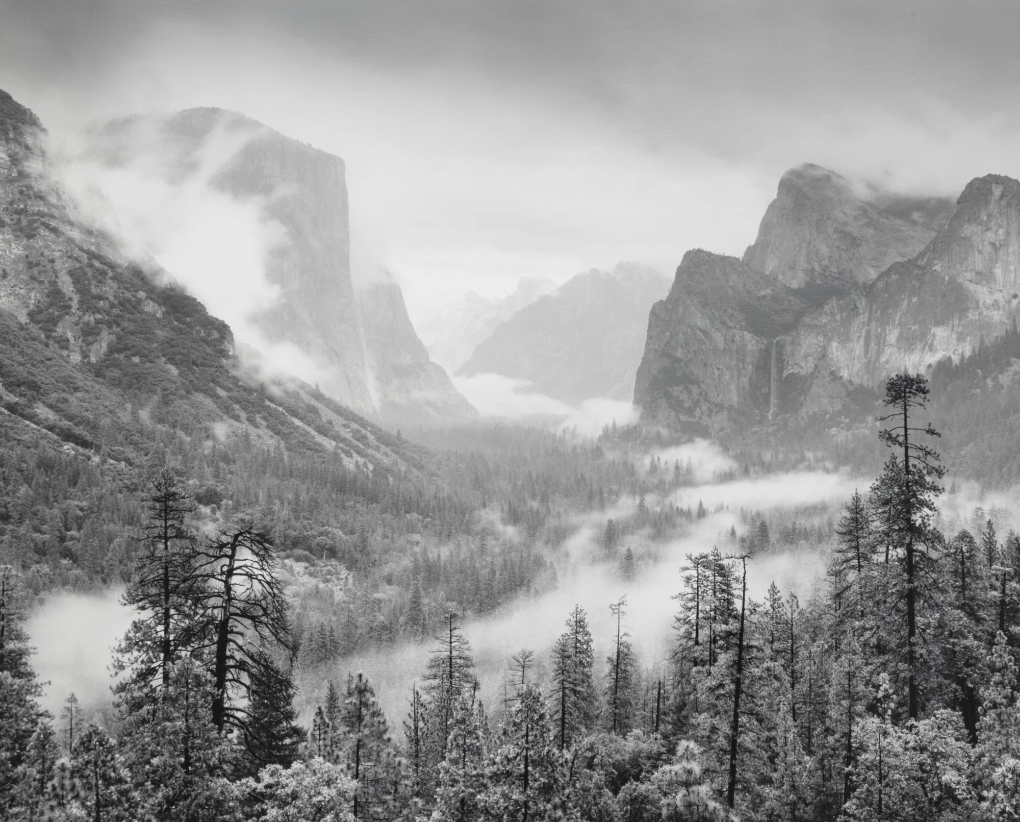 Spring Rain, Yosemite Valley