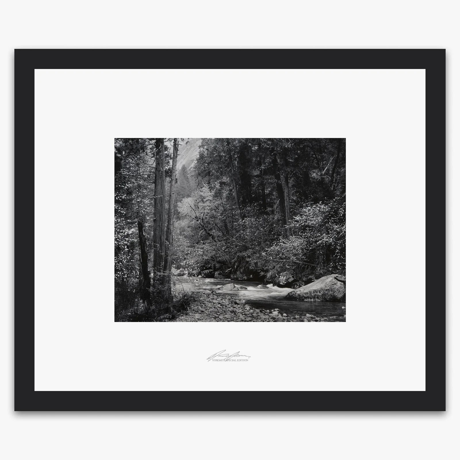 Tenaya Creek, Dogwood, Rain - Image 3