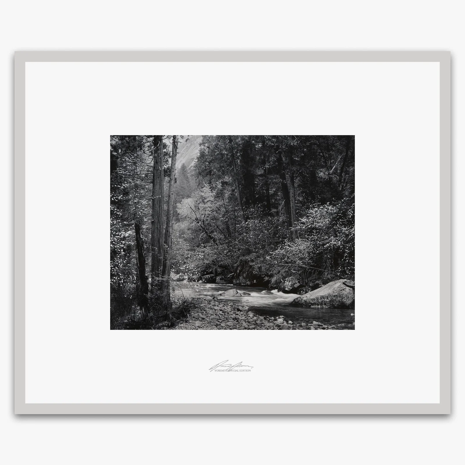 Tenaya Creek, Dogwood, Rain - Image 4