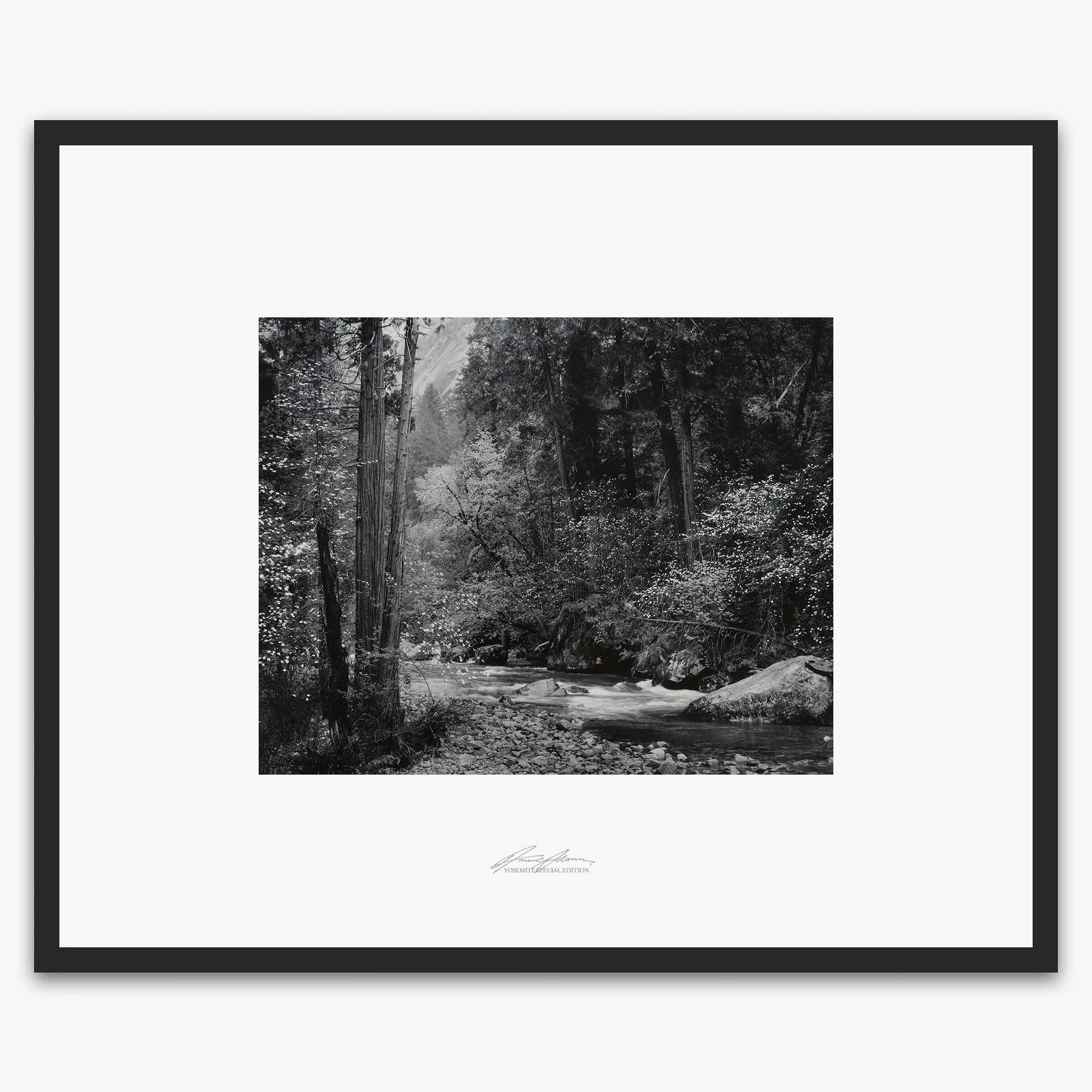 Tenaya Creek, Dogwood, Rain - Image 5