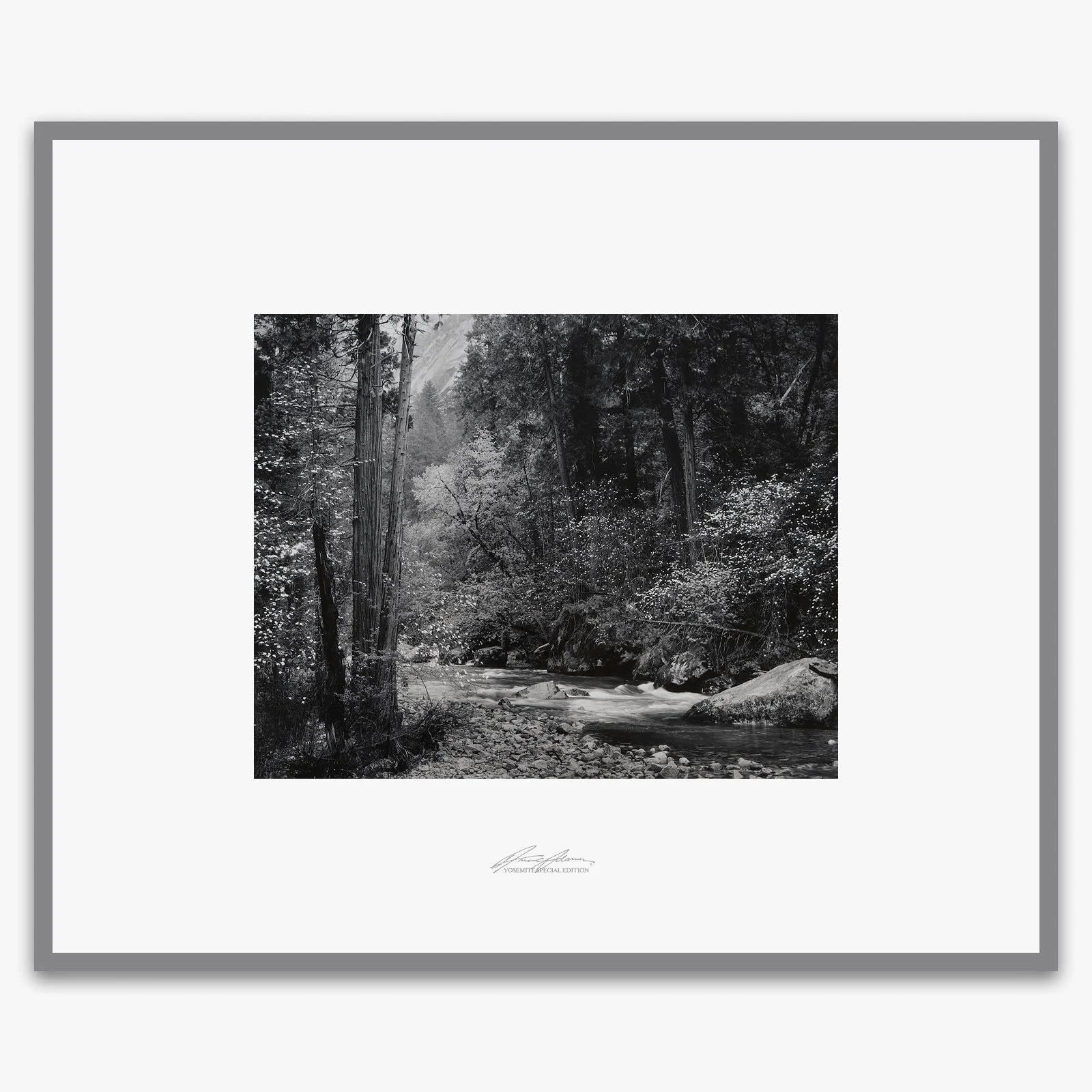 Tenaya Creek, Dogwood, Rain - Image 6