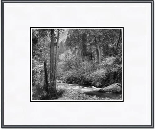Tenaya Creek, Dogwood, Rain - Image 2