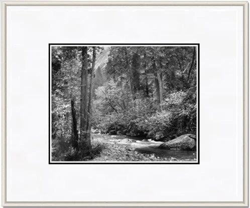 Tenaya Creek, Dogwood, Rain - Image 3