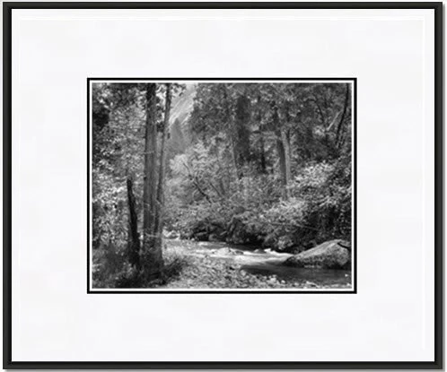 Tenaya Creek, Dogwood, Rain - Image 4