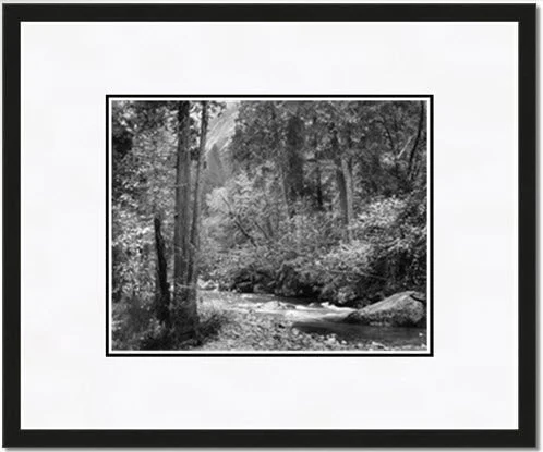 Tenaya Creek, Dogwood, Rain - Image 5