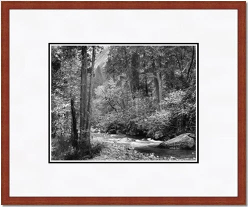 Tenaya Creek, Dogwood, Rain - Image 6