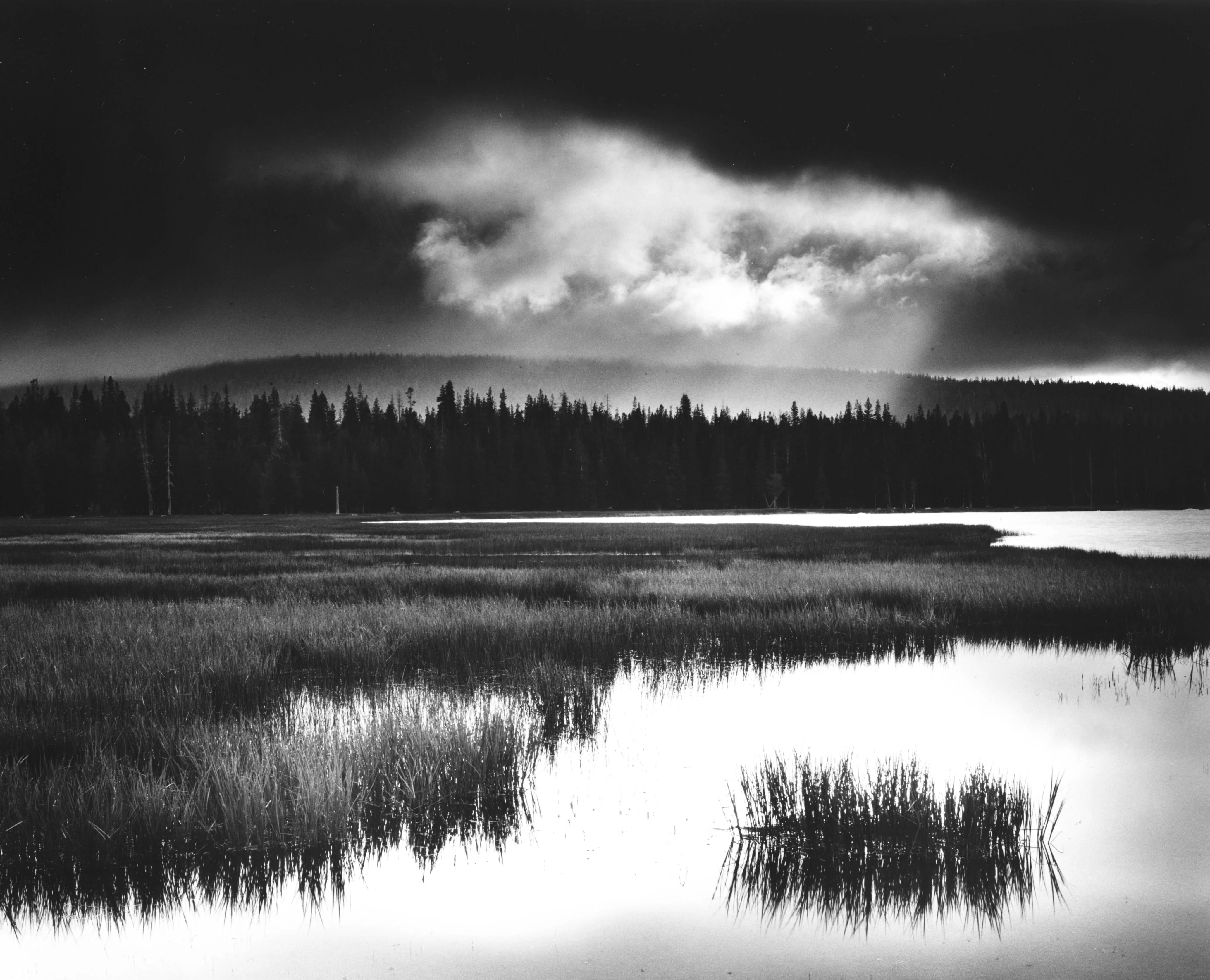 The Cloud