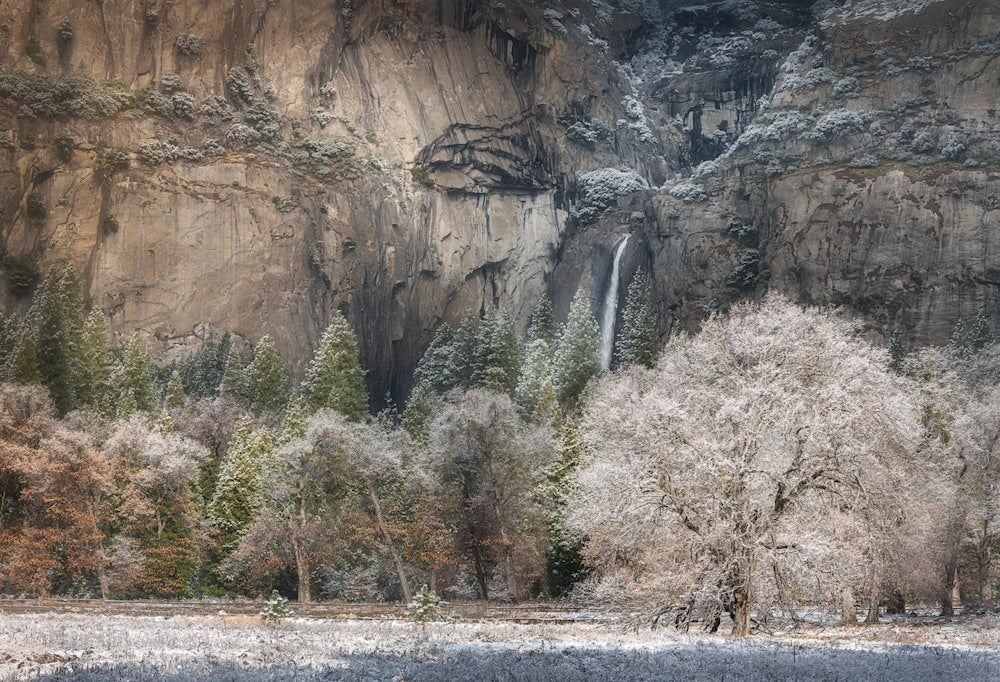 The Heart of Yosemite