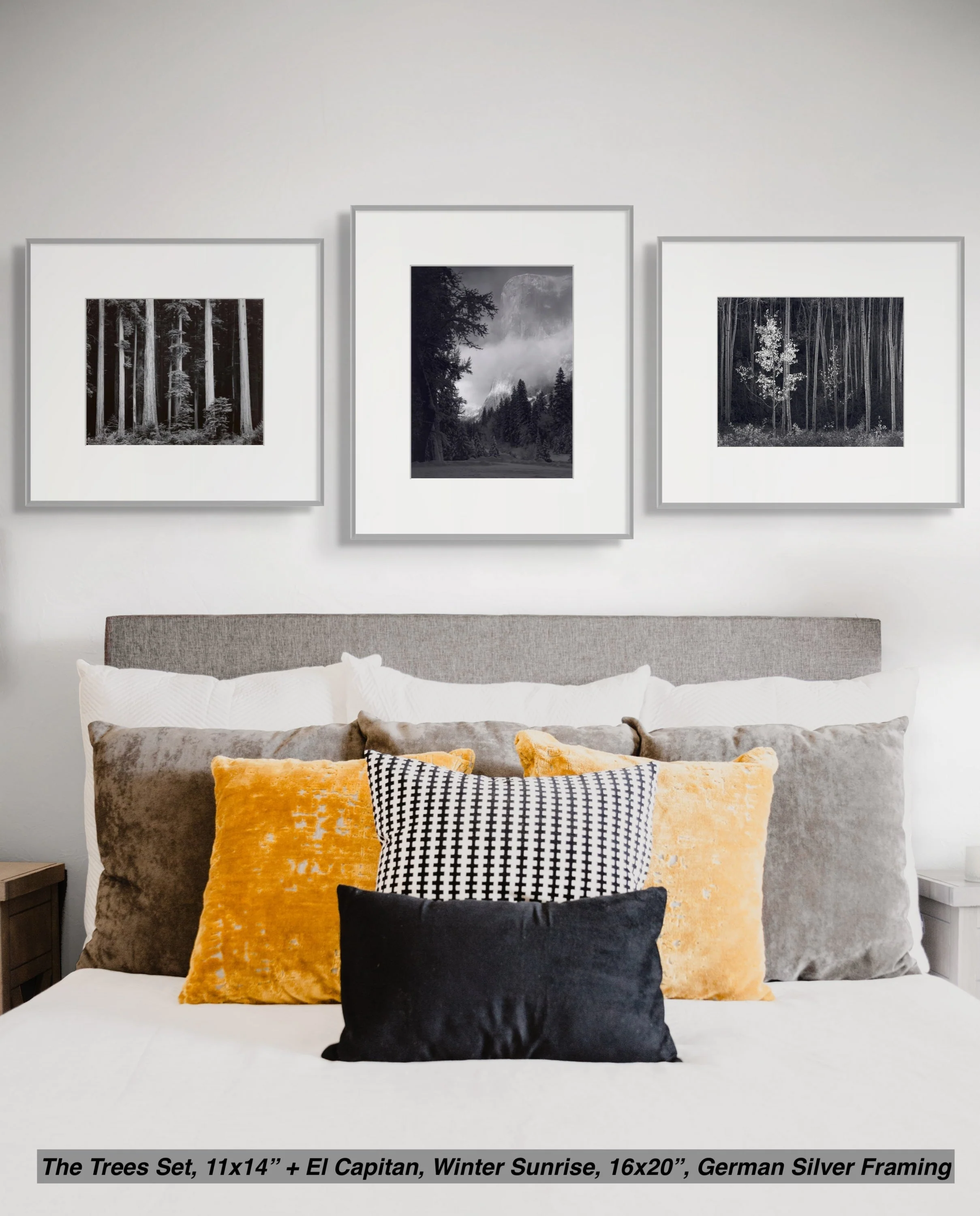 The Trees Set - Image 4