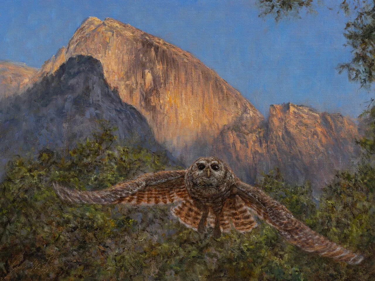 Tissiack and Spotted Owl