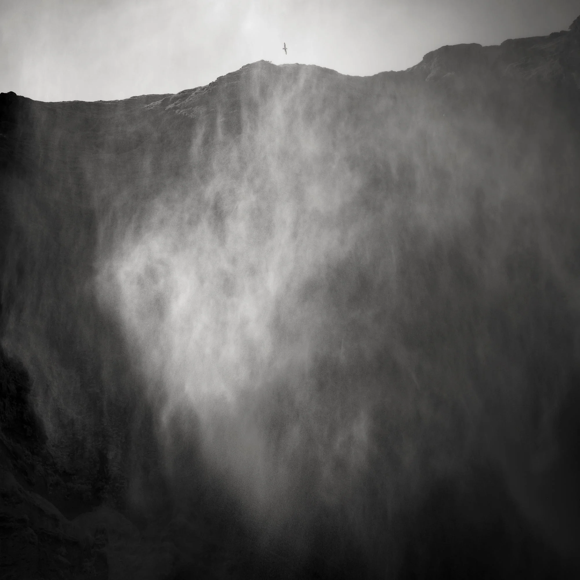 Waterfall Spray and Flight, Iceland, 2017