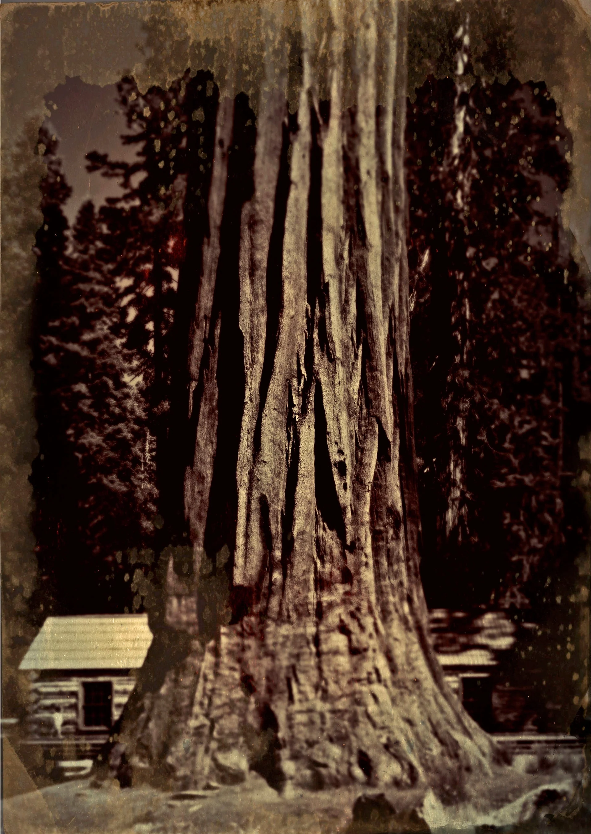Wet-Plate Collodion: Yosemite - Image 4