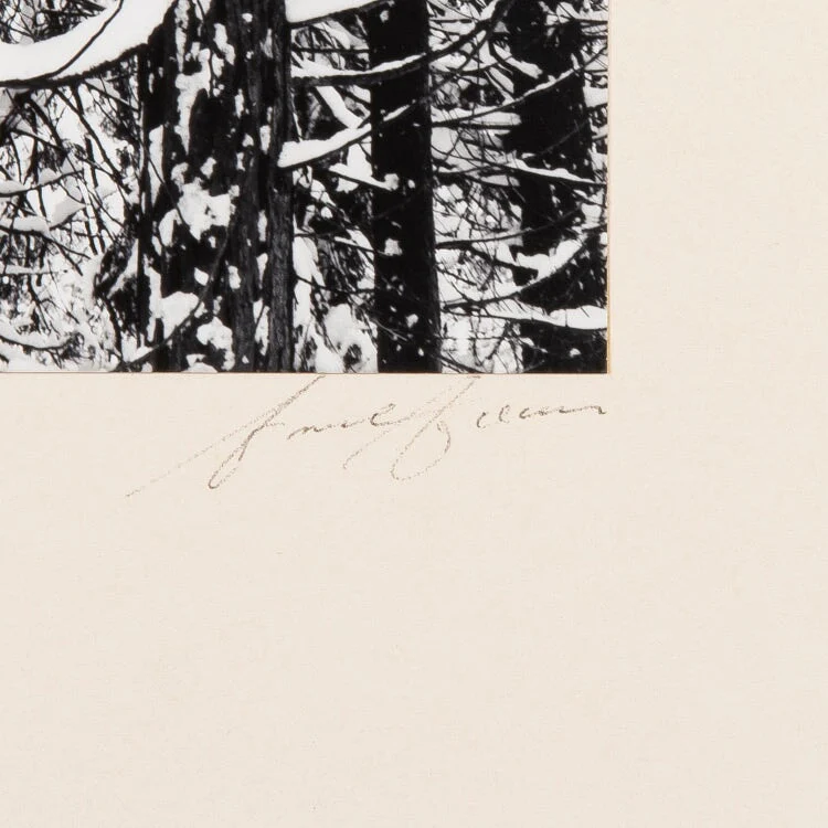 Winter Forest, Detail - Signed Special Edition - Image 3