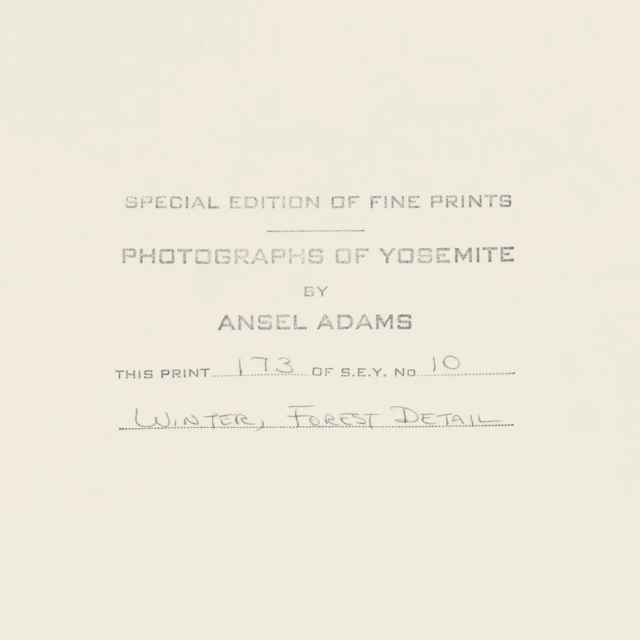 Winter Forest, Detail - Signed Special Edition - Image 4