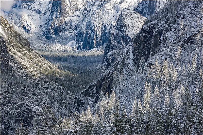 Winter Light, Yosemite National Park