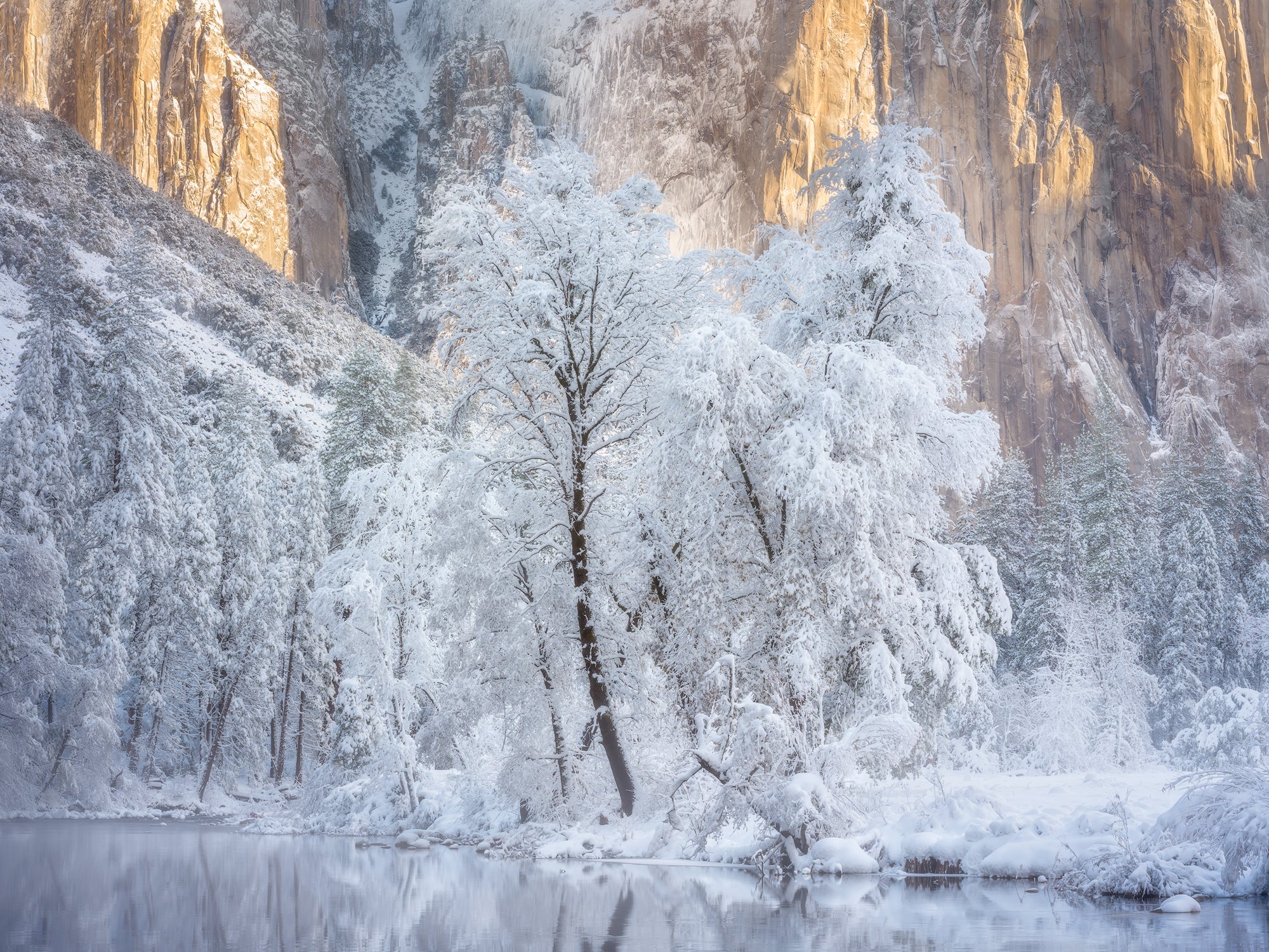 Winter's Blanket
