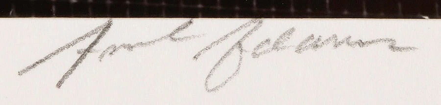 Woman Behind Screen Door, Independence - Image 3